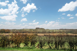 Photo 13- click for photo gallery